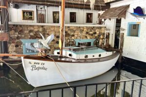 port-edward-porpoise