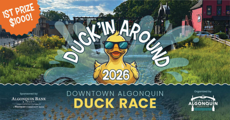 DAA - Duck Races 2026_Event Banner-2